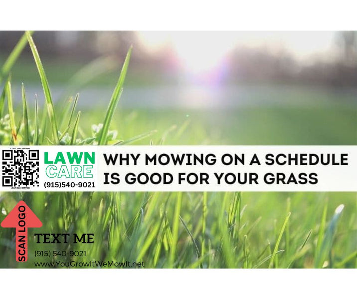 Importance of maintenance your Grass.